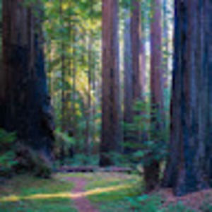 Meet your Posher, Eliza